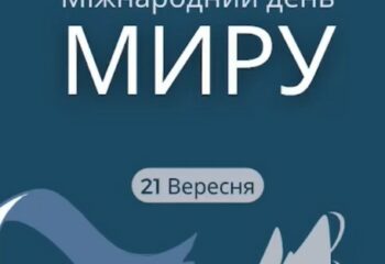 Screenshot_5 Screenshot_5